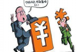 武城债务清欠服务